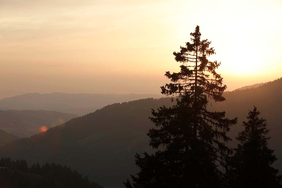 Was will das Leben von mir? Prozessarbeit auf der Alpe